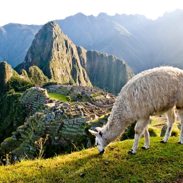 Machu Picchu 3 Days and 2 Nights Luxury Must-Sees - Day 3: Departure