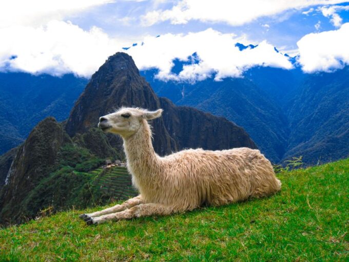 Machu Picchu and Machu Picchu Mountain 1-day | Private Tour| - Panoramic Views From Machu Picchu Mountain