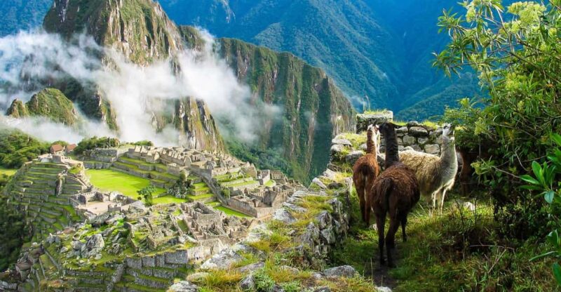 Machu Picchu Expedition 1 Day | Adventure + Lunch - Key Points