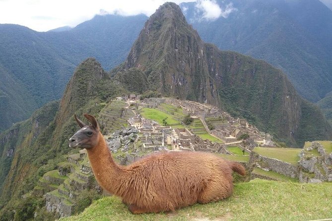 Machu Picchu Full Day - Confirmation and Communication