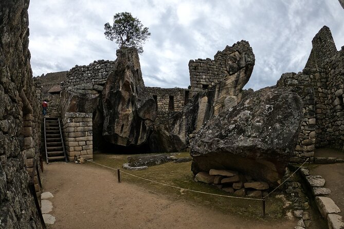 Machu Picchu Full Day - Transport and Logistics