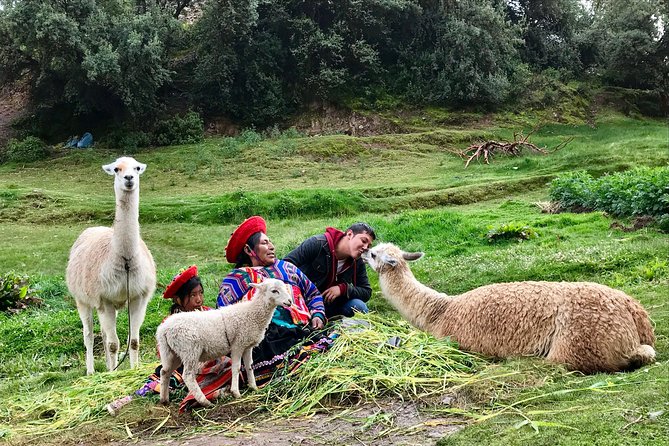 Machu Picchu Full Day From Cusco - Customer Experiences