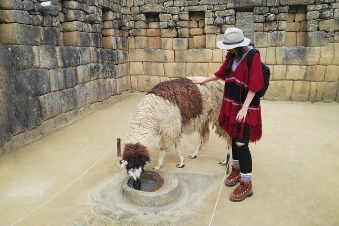 Machu Picchu Full Day - Private Tour - Highlights of Machu Picchu