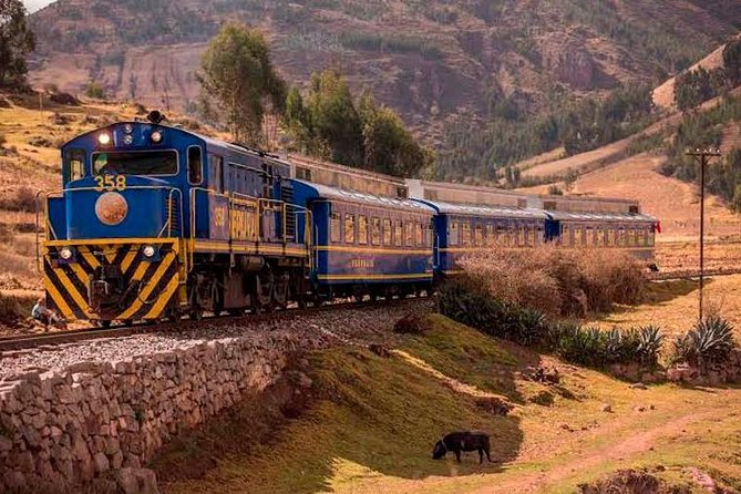 Machu Picchu Full Day Tour | 1 Day Train Trip - Additional Information About the Tour