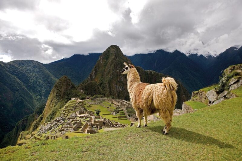 Machu Picchu Full Day Tour - Scenic Train Ride