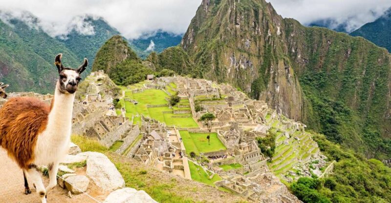 Machu Picchu: Full-Day Tour From Cusco With Optional Lunch - Guided Tour