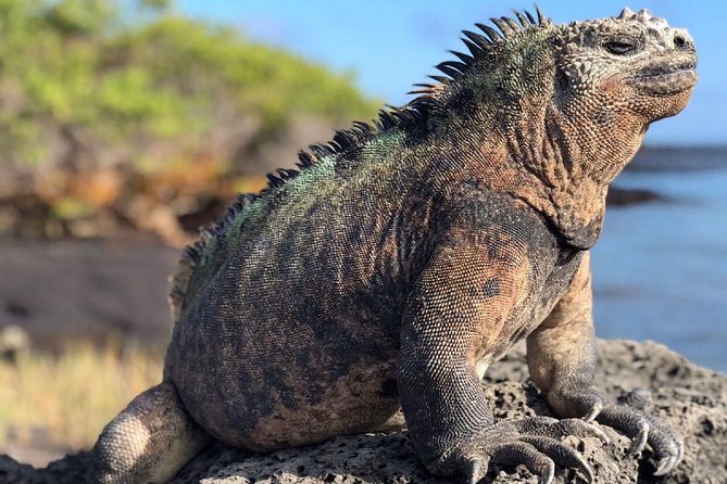 Machu Picchu & Galápagos Islands Essentials - Additional Costs