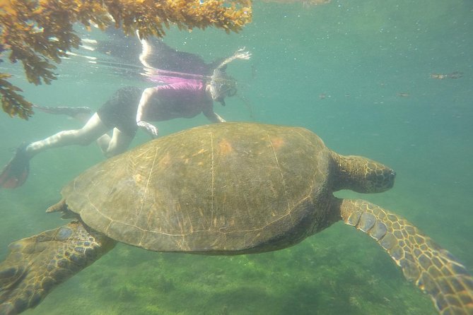 Machu Picchu & Galápagos Islands Essentials - Tour Logistics