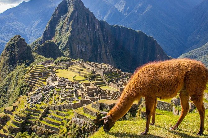 Machu Picchu in 1 Day Private / Group - Highlights of Machu Picchu