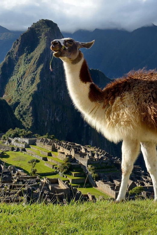 Machu Picchu One Day Trip From Cusco - Itinerary Details