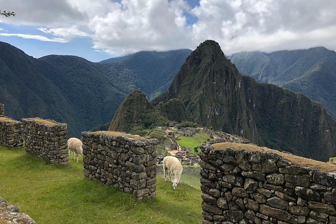 Machu Picchu Private Guide Service From Aguas Calientes - Booking and Contact Information