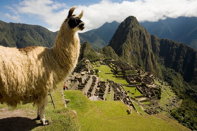 Machu Picchu Private Guided Tour From Aguas Calientes - Meeting and Departure Points