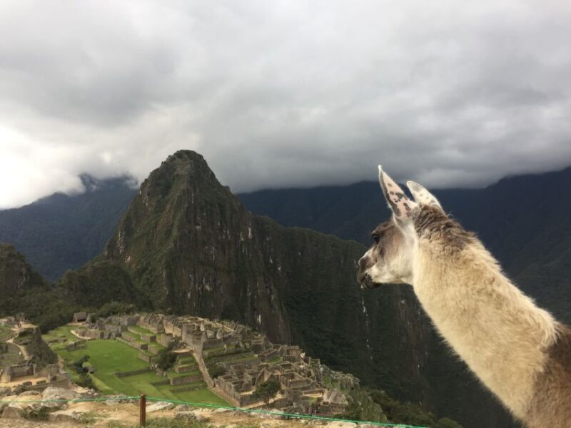 Machu Picchu: Private Tour Guide Service - Logistics and Inclusions
