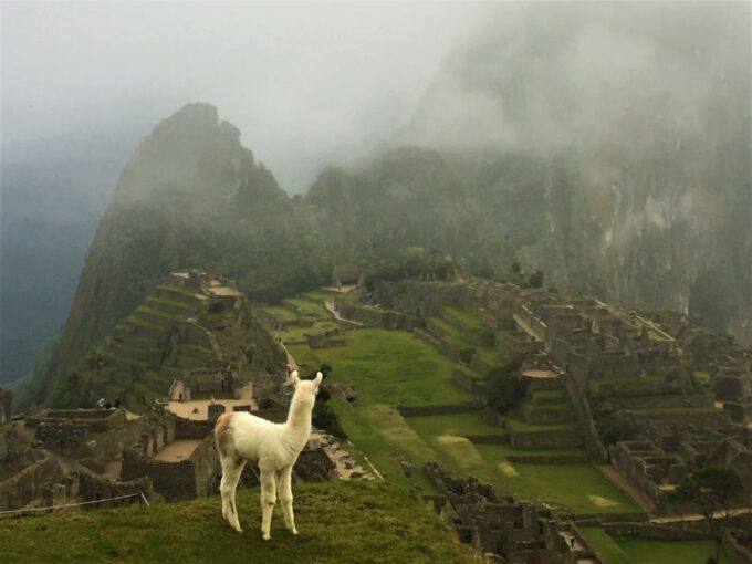 Machu Picchu: Private Tour Guide Service - Post-Tour Activities