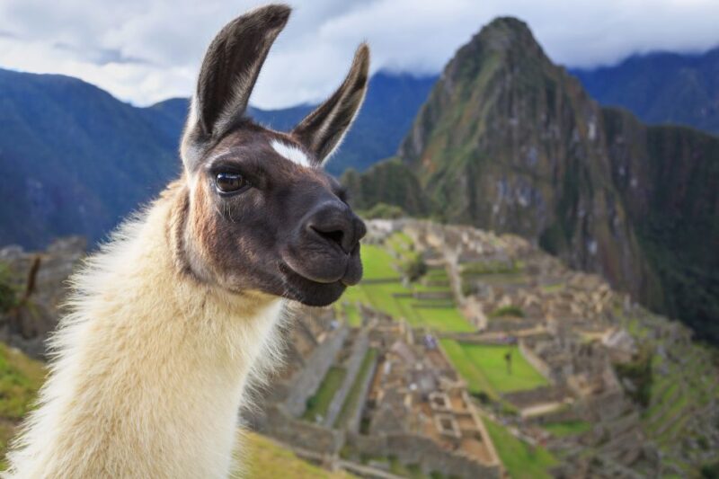 Machu Picchu Small-Group Combo: Entrance Ticket, Bus & Guide - Frequently Asked Questions