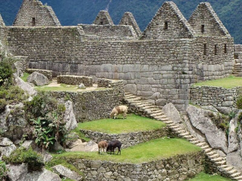 Machu Picchu Tour Full Day - Participant Restrictions