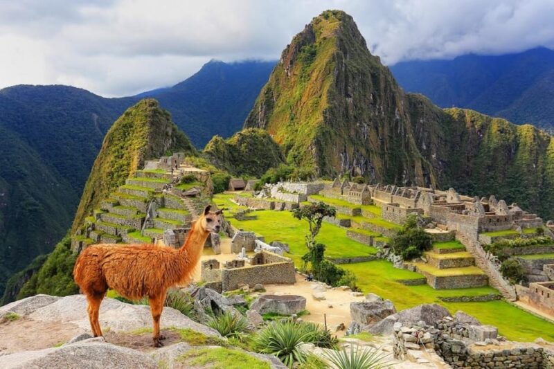 Machu Picchu Tour + General Ticket (1o2) and Tourist Train - Customer Reviews