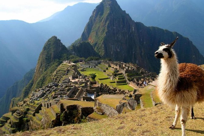 Machupicchu And Huayna Picchu Full Day Privat Guided Service - About Huayna Picchu