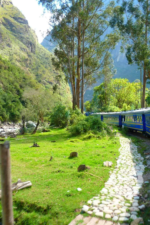 Machupicchu by Train - 2 Days - 1 Night - Experience and Environment