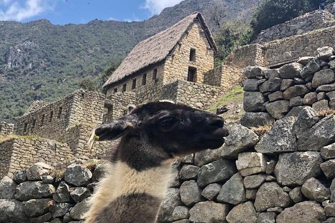 Machupicchu Full Day - Reviews and Ratings