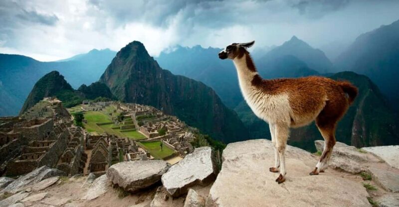 Machupicchu-Humantay Lake 4 Days 3 Nights Excursion: Cusco - Day 2: Machu Picchu