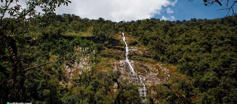 Machupicchu Jungle: 4D: Cusco, Tunkimayo and Machupicchu - Included Services