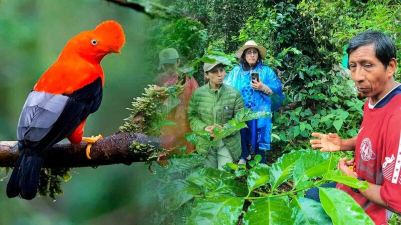 Machupicchu Jungle: 4D: Cusco, Tunkimayo and Machupicchu - Frequently Asked Questions