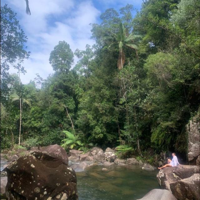Mackay: Finch Hatton Gorge Hike, Swim & Platypus Adventure - Itinerary Details