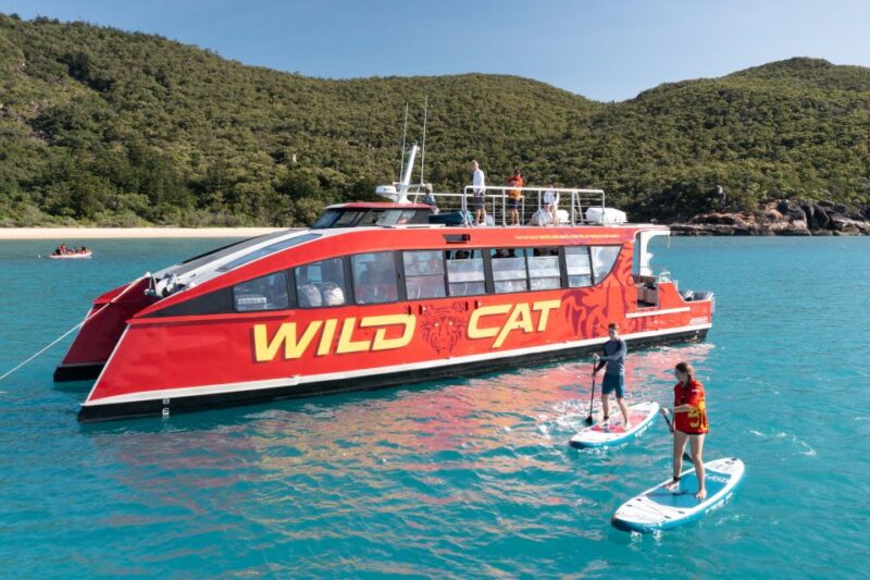 Mackay: Full Day Island Boat Tour on the Great Barrier Reef - Key Points
