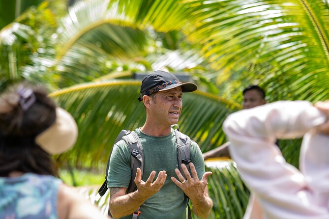 Macnut Tour, Picnic Lunch and Maui Bees - Mauis Sustainable Farming