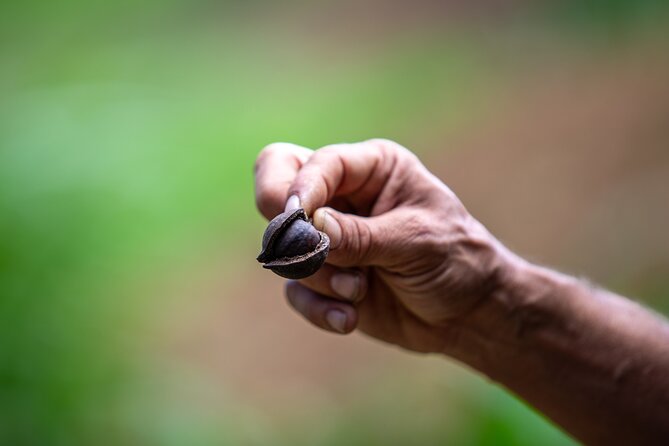 Macnut Tour, Picnic Lunch and Maui Bees - Tasting Mauis Bounty