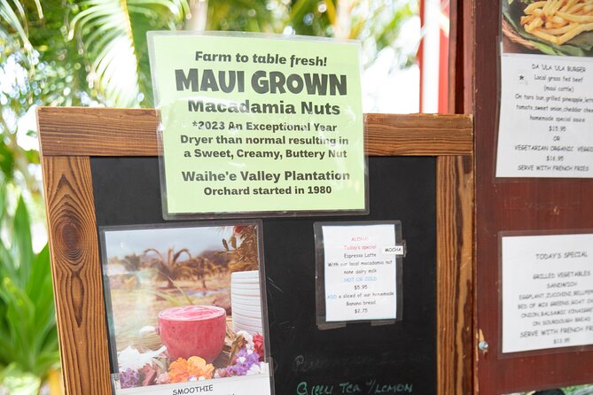 Macnut Tour, Picnic Lunch and Maui Bees - Accessibility and Transportation