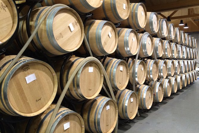 Macon & Beaujolais Wine Tour (9:00 Am to 5:15 Pm) - Small Group Tour From Lyon - Itinerary Highlights