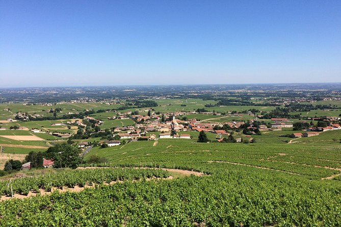 Macon & Beaujolais Wine Tour (9:00 Am to 5:15 Pm) - Small Group Tour From Lyon - Wine Tasting Experience