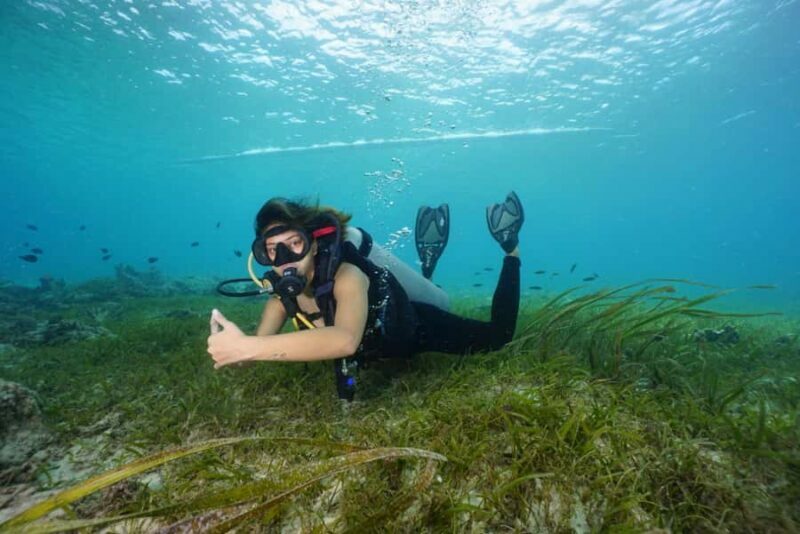 Mactan Sanctuary: Discover Scuba Diving, Island Hop, & Lunch - Discover Mactan Sanctuary: A Balanced Look at Snorkel, Island Hop, & Lunch