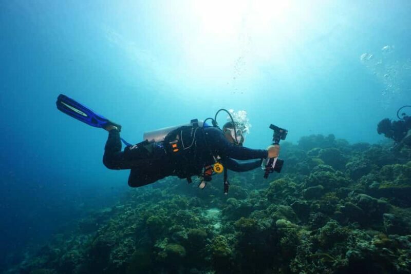 Mactan Sanctuary: Discover Scuba Diving, Island Hop, & Lunch - Key Points