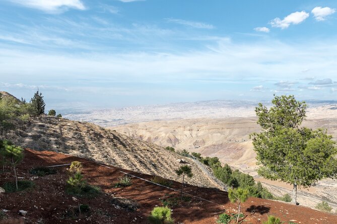 Madaba and Mount Nebo Tour From Amman - Significance of the Mosaic Map