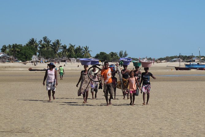 Madagascar 7 Days Baobabs and Lemurs Tour - Highlights and Activities