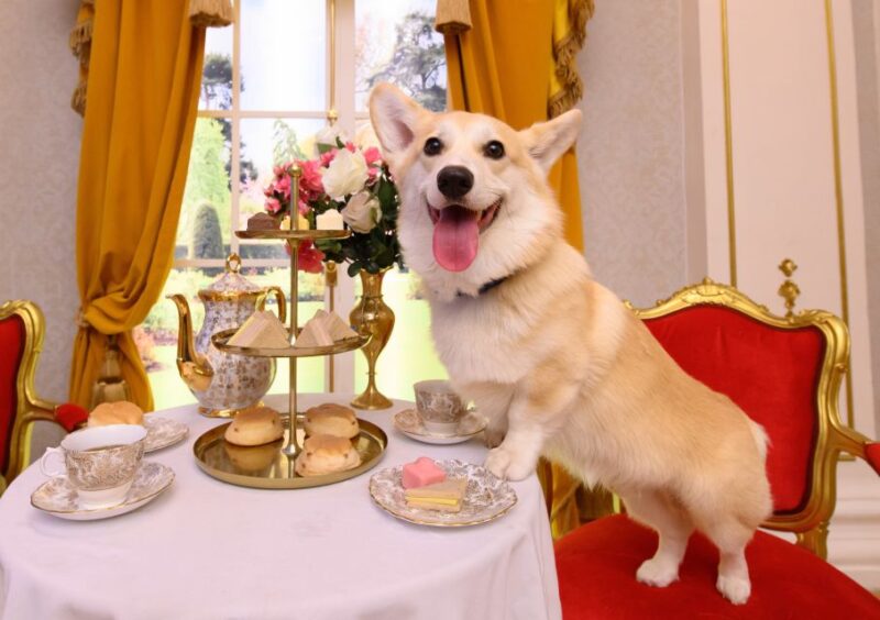 Madame Tussauds London - Advance Ticket Reservations