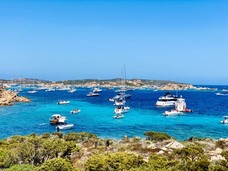 Maddalena Archipelago: Island-Hopping Sailing Tour and Lunch - Important Information