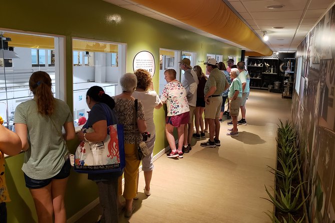 Made in Aruba Sightseeing Tour - Accessibility and Group Size