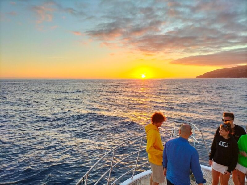 Madeeira: Sunset Dinner Cruise - Itinerary and Experience