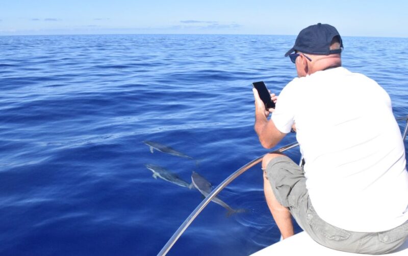 Madeira: 2.5-Hour Whale and Dolphin-Watching Cruise - Cruise Duration and Itinerary