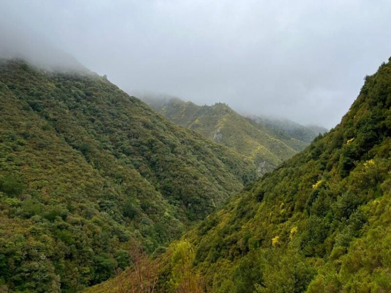Madeira: 25 Fontes and Risco Levada Hike With Transfers - Frequently Asked Questions