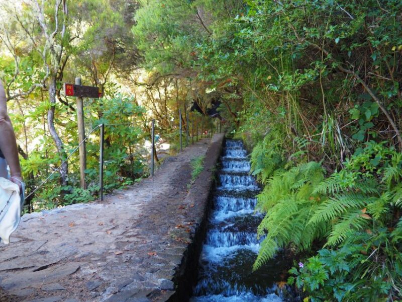 Madeira: 25 Fontes and Risco Levada Hike With Transfers - Recommended Start Time