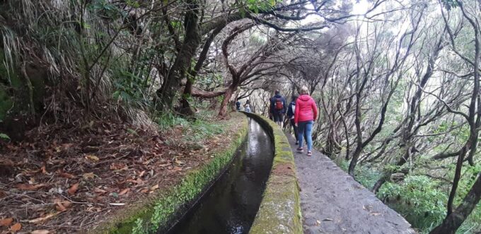 Madeira: 25 Fontes and Risco Levada Hike With Transfers - Participant Suitability