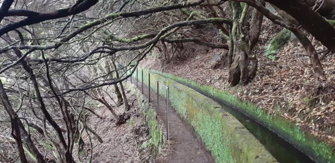 Madeira: 25 Fontes and Risco Levada Hike With Transfers - Frequently Asked Questions