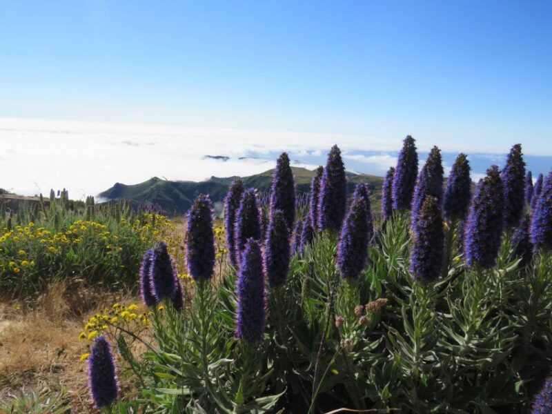 Madeira : 3 Peaks, Pico Arieiro, Das Torres, Ruivo Trek - What to Bring