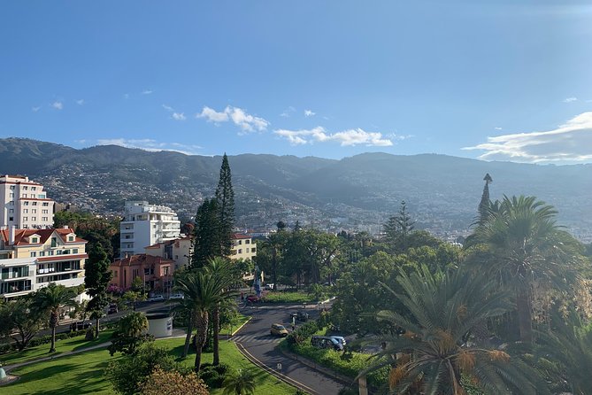 Madeira Airport Round Trip Shuttle Transfers Service - Customer Feedback