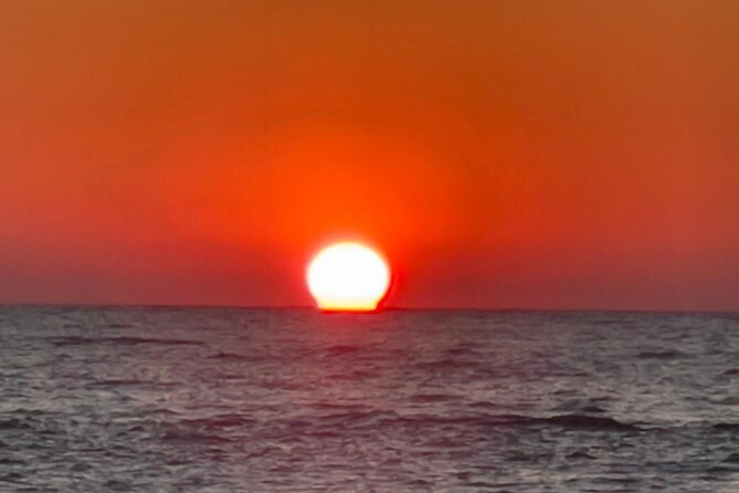 Madeira Beach and Shell Key Preserve Half Day Private Boat Tour - Booking Information
